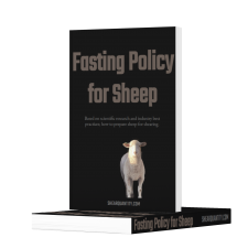 Fasting Policy for Sheep